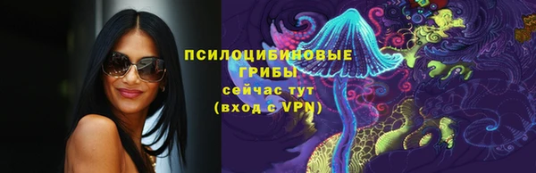 гидра Покровск