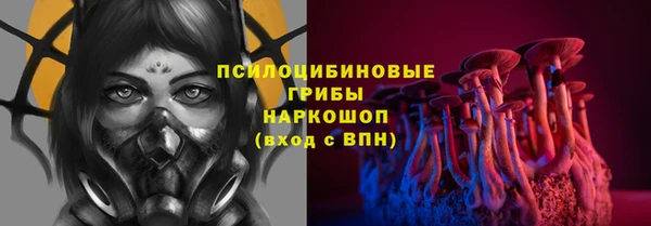 гидра Покровск