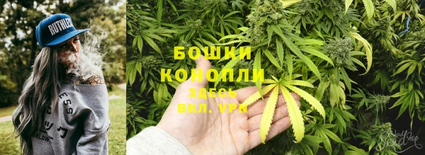 гидра Покровск