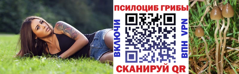 Галлюциногенные грибы Cubensis  Абаза 